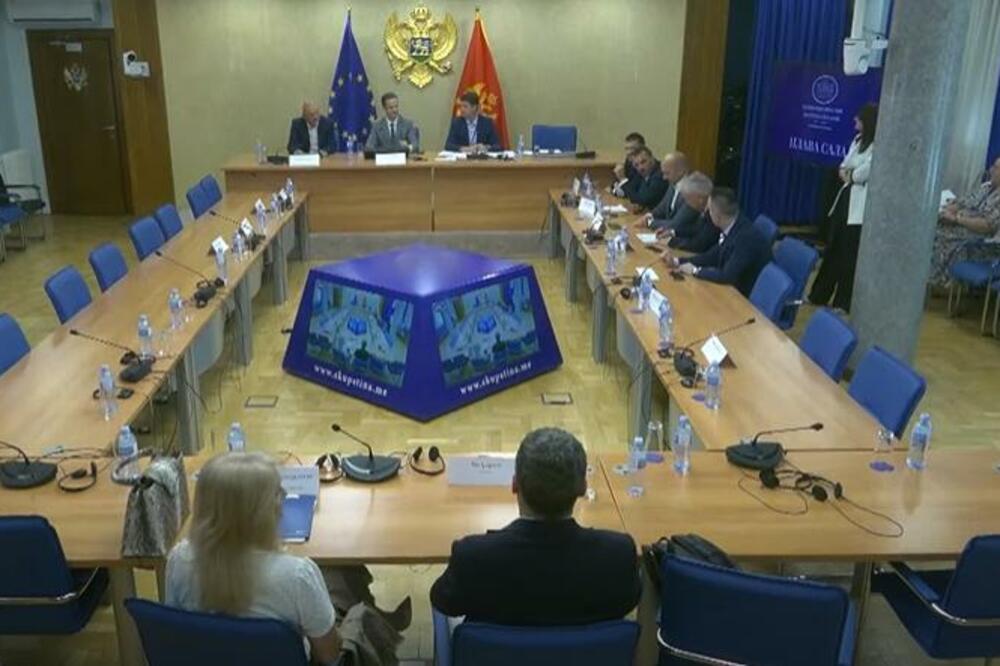 Sjednica Odbora, Foto: Printscreen YouTube