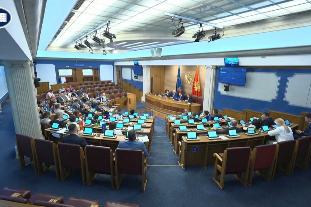 Sjednica, Foto: Screenshot/Skupština Crne Gore