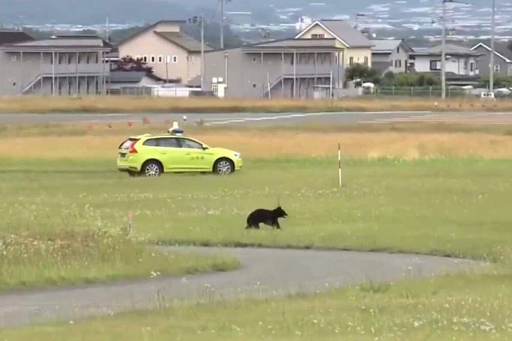 Foto: Printscreen/X/Reuters