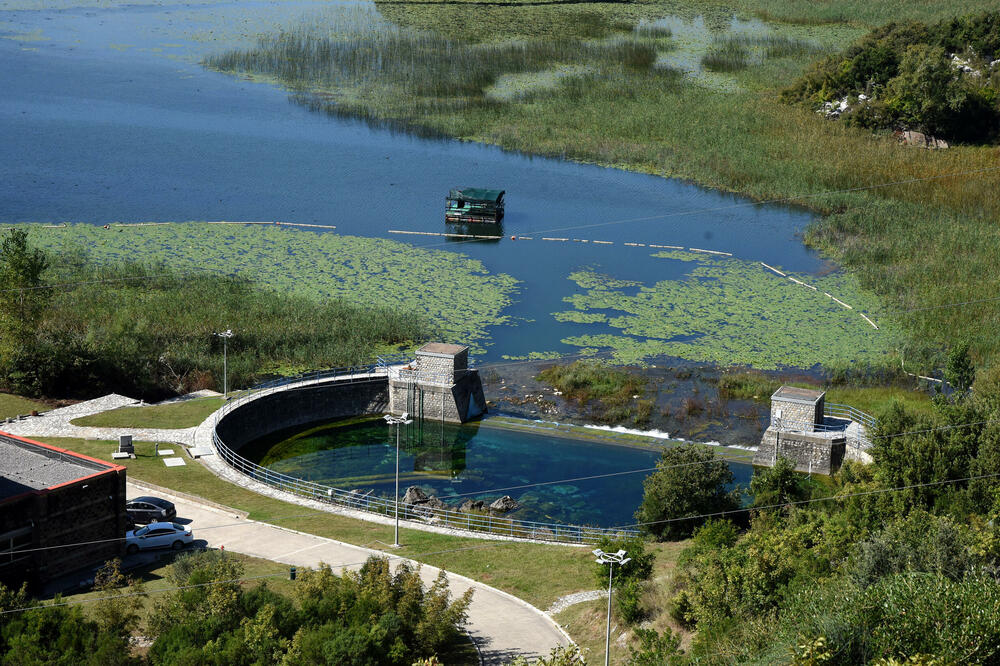 Izvorište Bolje sestra ugroženo eko kriminalom, Foto: Luka Zekovic