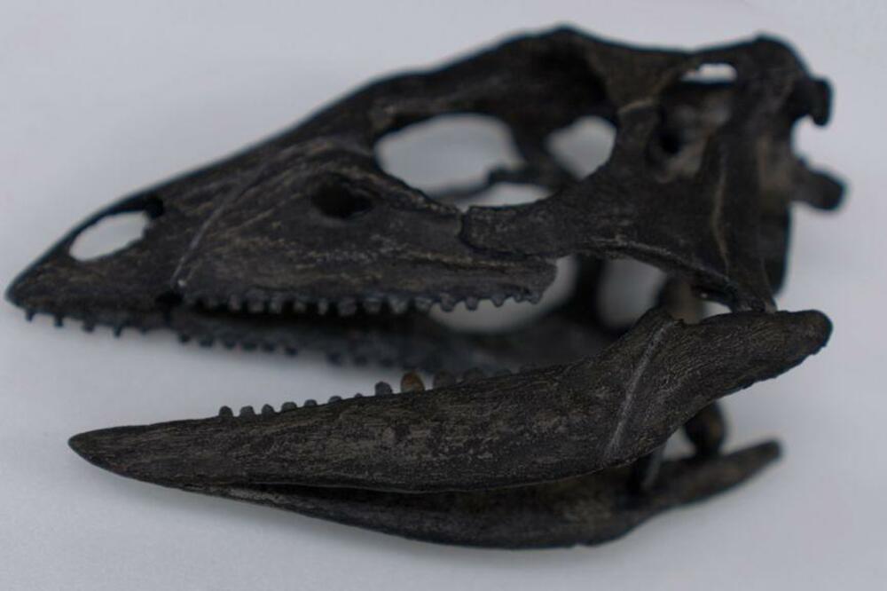 Foto: Gwyndaf Hughes/BBC News