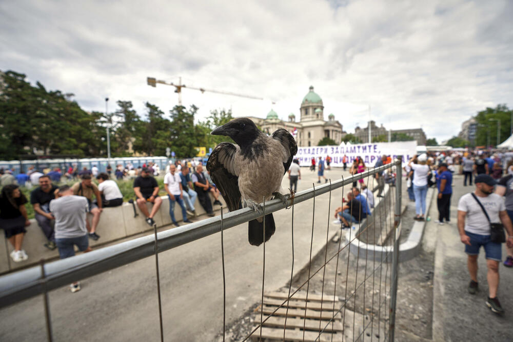 <p>Studenti u blokadi na demonstracijama na beogradskom trgu Slavija proglasili su vlast u Srbiji nelegitimnom</p>  <p>Dva protesta održana su na državni praznik Vidovdan u centru Beograda. Jedan su organizovali studenti koji od novembra 2024. blokiraju fakultete širom zemlje i zahtijevaju vanredne izbore. Drugi građani koji, kako kažu, podržavaju predsjednika Srbije Aleksandra Vučića</p>  <p>Sukobi dijela demonstranata i policije izbili su uoči i nakon zvaničnog završetka studentskog protesta na Trgu Slavija</p>  <p>Na protestu pod nazivom "Vidimo se na Vidovdan" okupile su se desetine hiljada ljudi</p>  <p>Pristalice vlasti okupile su se ispred Skupštine, gde je održano "književno veče"</p>