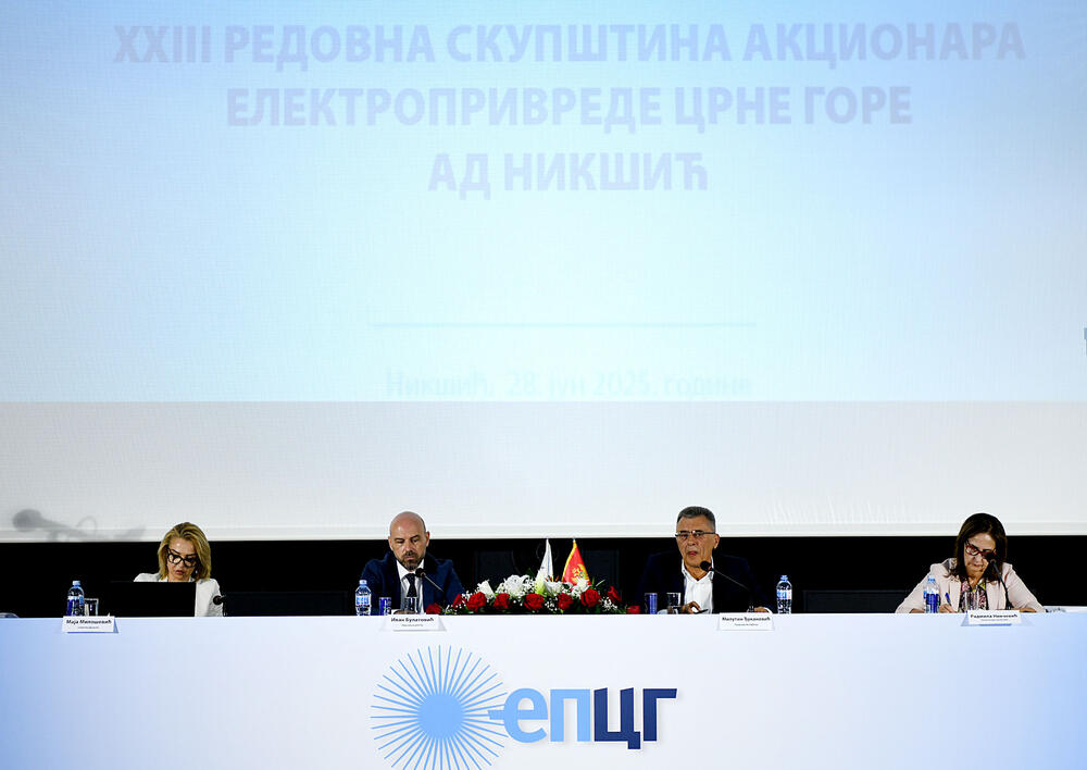 Skupština akcionara EPCG