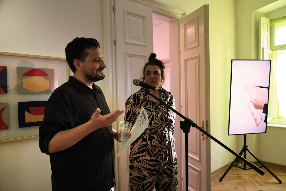 Vizuelni umjetnik Siniša Ilić