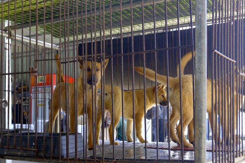 Foto: Hyunjung Kim/BBC News