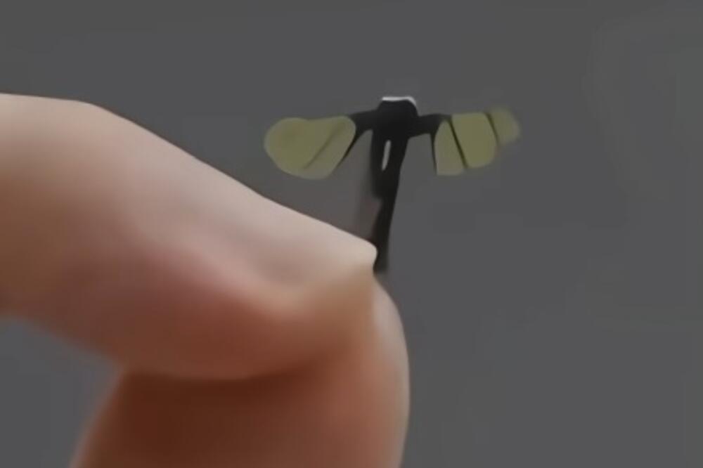 Foto: Screenshot/Youtube