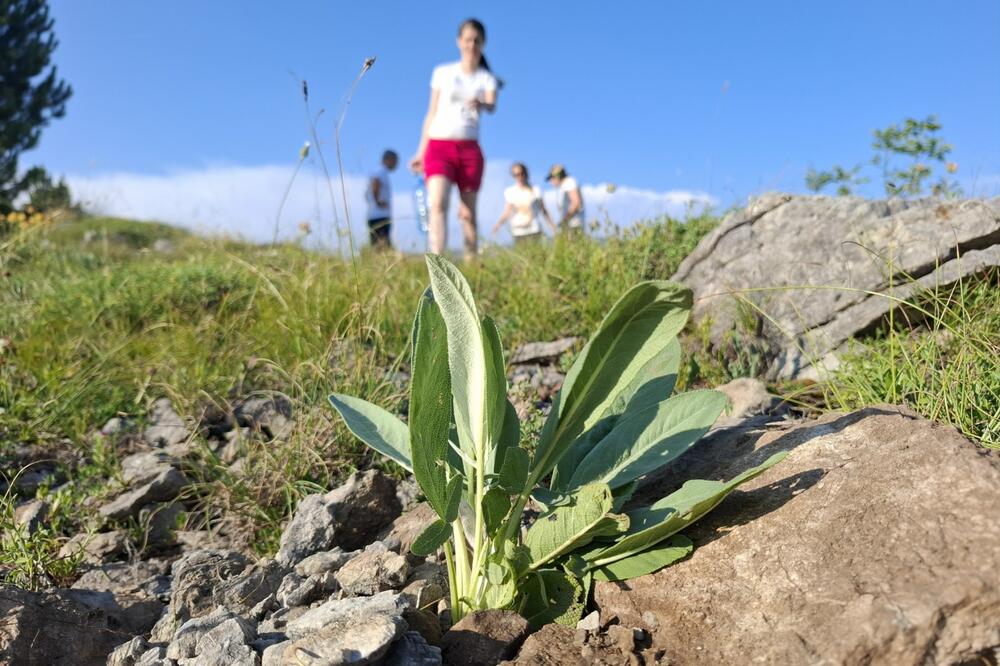 Foto: Privatna arhiva