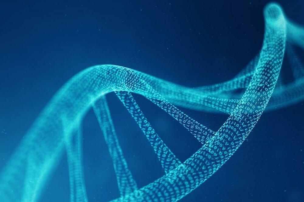 Kako se istraživači nadaju da će stvoriti ljudsku DNK, Foto: Getty Images