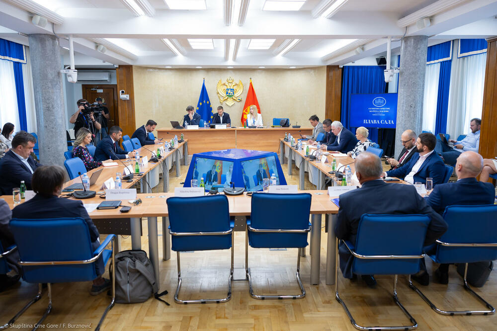 Preporuke CDT-a “na stolu”: sa sjednice Odbora za sveobuhvatnu izbornu reformu, Foto: Skupština