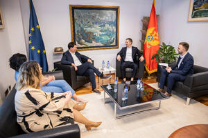 Bečić i Frangeš: Objediniti lokalne i parlamentarne izbore