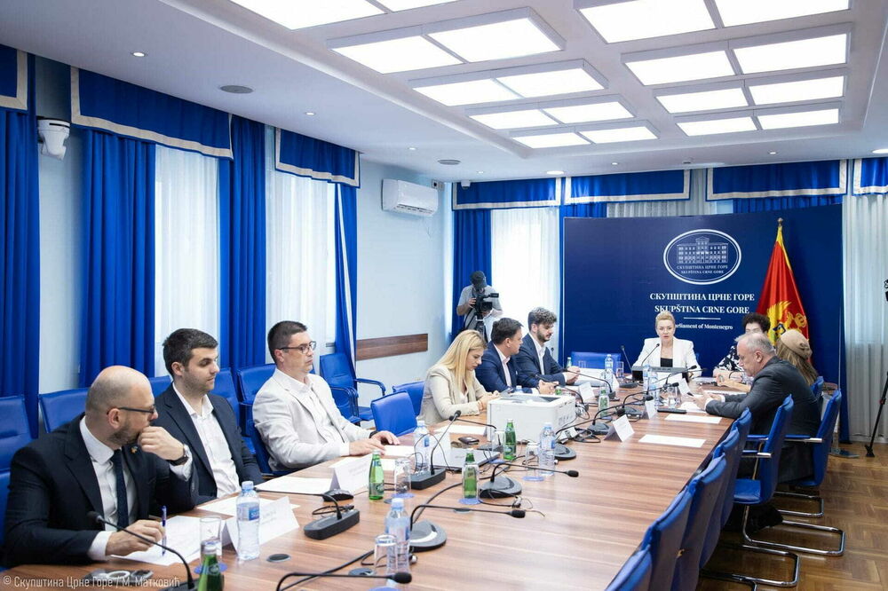 Na javni poziv iz decembra prijavilo se 13 kandidata: Sa ranije sjednice Ustavnog odbora, Foto: Skupština