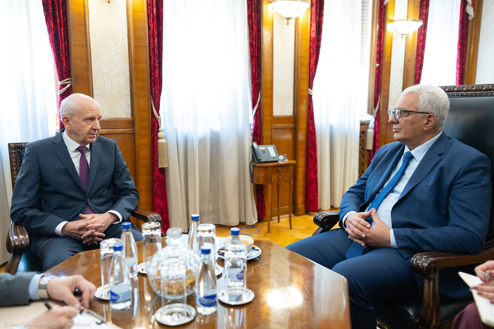 Andrija Mandić, Aleksandar Lukašik