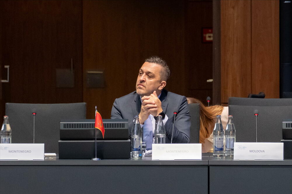 Vuković, Foto: Ministarstvo finansija