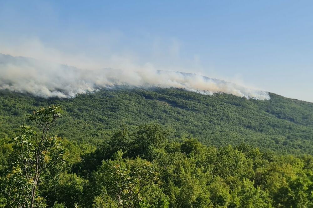 Foto: Privatna arhiva