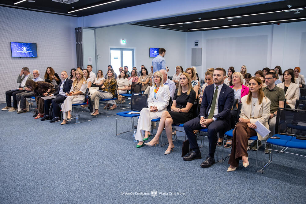 Detalj sa panela, Foto: Đorđe Cmiljanić/Vlada Crne Gore