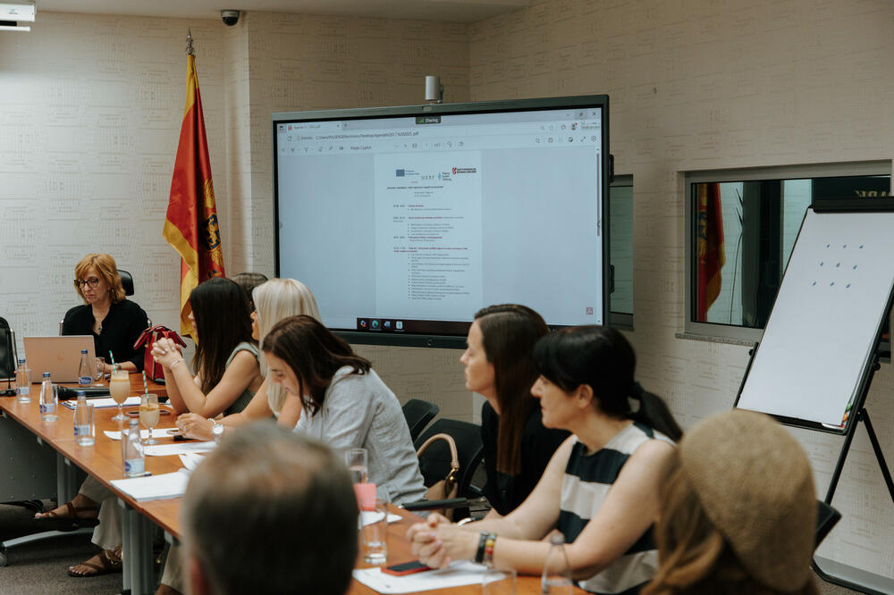 Sa panela, Foto: Lion Hodzic/DPNCG