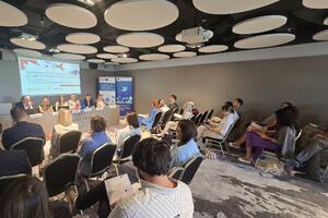 Predstavljen Program razvoja zelenog vodonika; Šahmanović: Imamo...