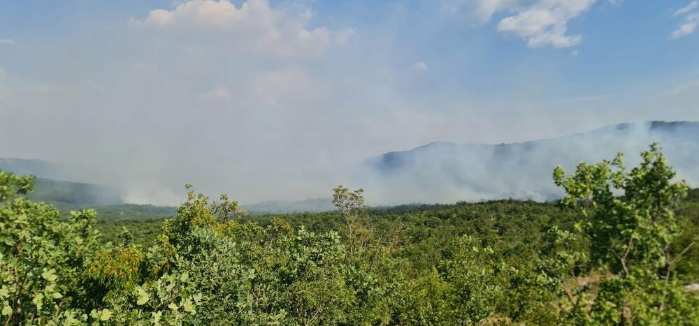<p>"Naše ekipe su već četvrti dan na terenu i, u više nego korektnoj saradnji sa lokalnim stanovništvom, činimo sve što je do nas kako bismo ugasili požare", rekao je Tadić</p>