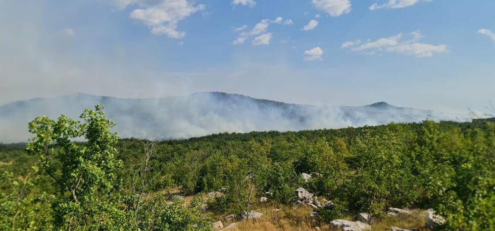 <p>"Naše ekipe su već četvrti dan na terenu i, u više nego korektnoj saradnji sa lokalnim stanovništvom, činimo sve što je do nas kako bismo ugasili požare", rekao je Tadić</p>