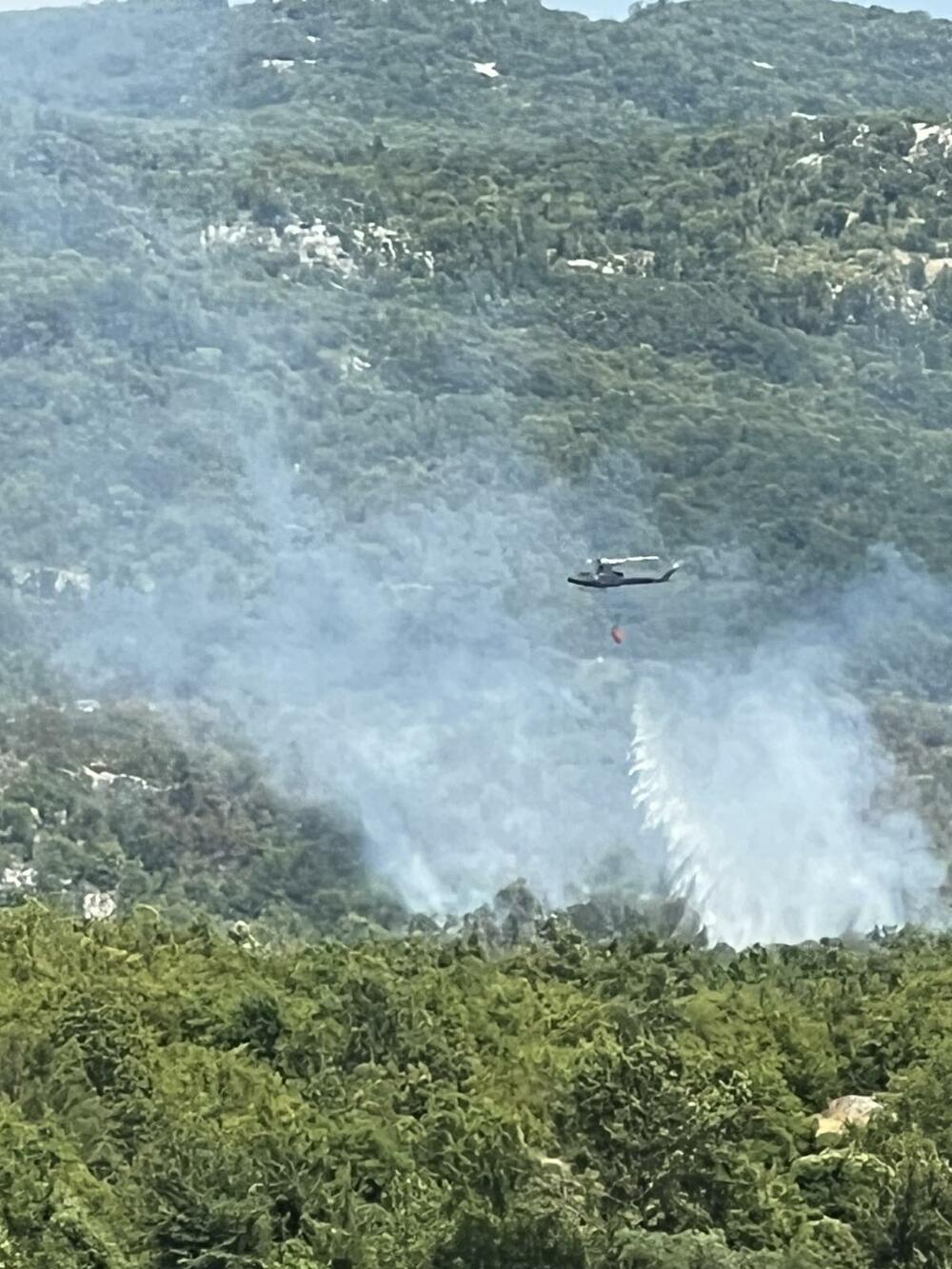<p>"Naše ekipe su već četvrti dan na terenu i, u više nego korektnoj saradnji sa lokalnim stanovništvom, činimo sve što je do nas kako bismo ugasili požare", rekao je Tadić</p>