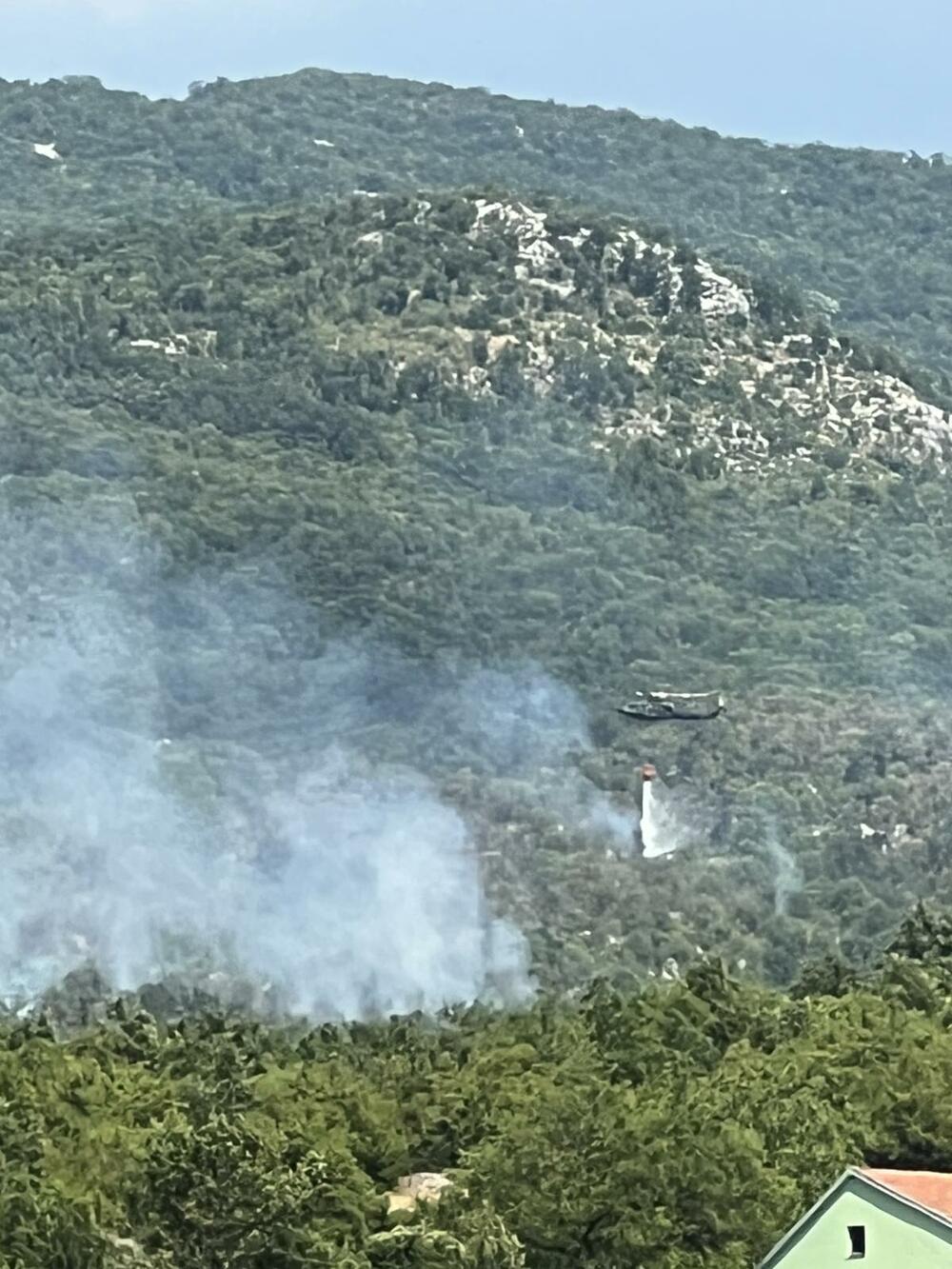 <p>"Naše ekipe su već četvrti dan na terenu i, u više nego korektnoj saradnji sa lokalnim stanovništvom, činimo sve što je do nas kako bismo ugasili požare", rekao je Tadić</p>