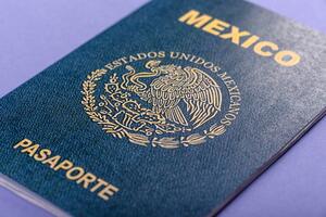 Ruskinja uhapšena na Aerodromu Podgorica sa falsifikovanim pasošem...