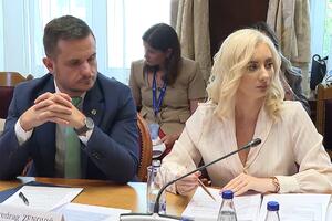 Gorčević: Razgovori Crne Gore i Hrvatske idu u dobrom pravcu,...