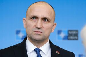 Anušić: Bio sam na Tompsonovom koncertu i koristio pozdrav "Za dom...