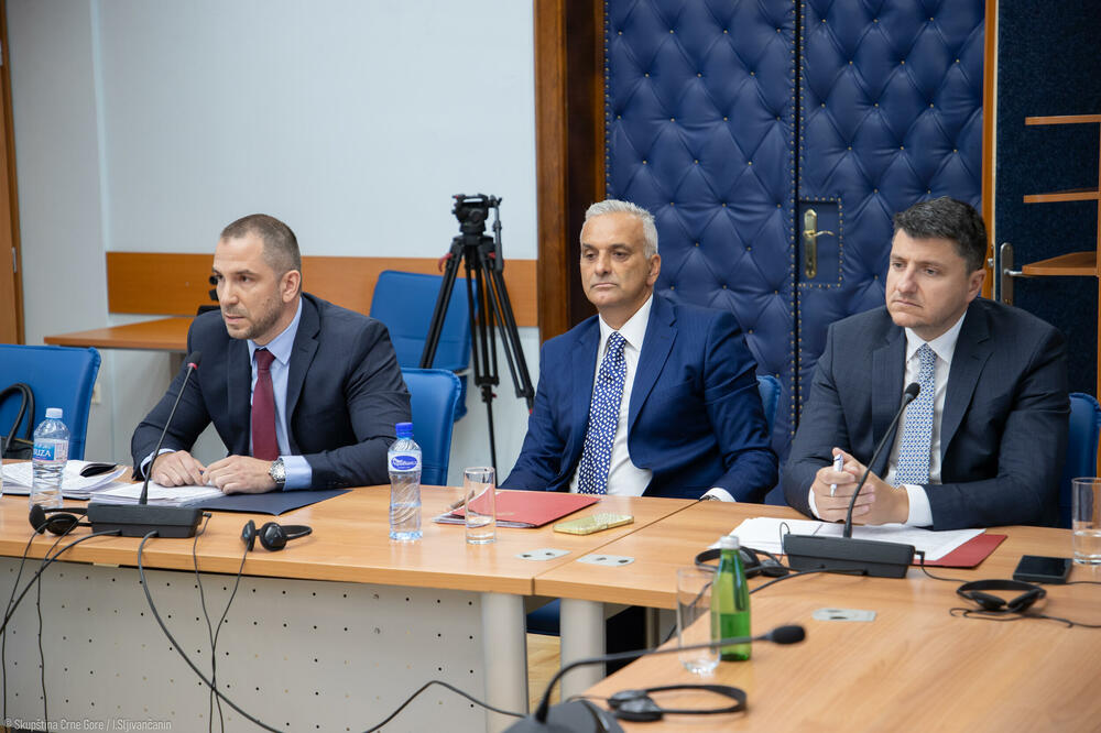 Foto: Skupština Crne Gore