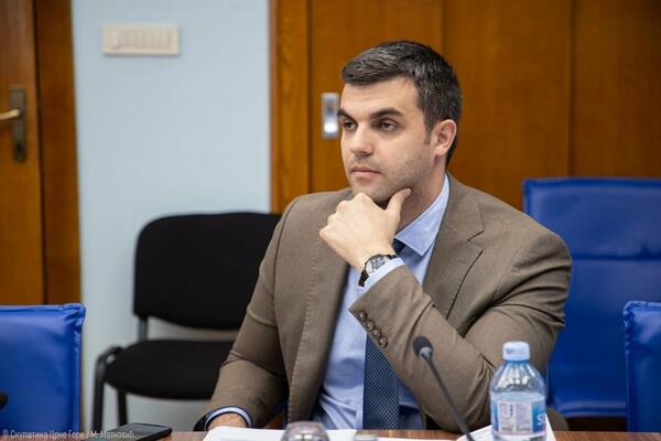 Božović: SNP će predati inicijativu za izmjene Ustava, kojom se...