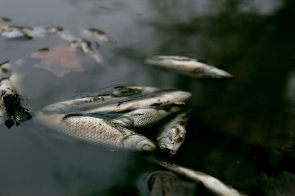 Ilustracija, Foto: REUTERS