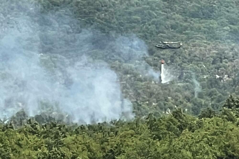 Gašenje iz vazduha, Foto: Služba zaštite i spasavanja