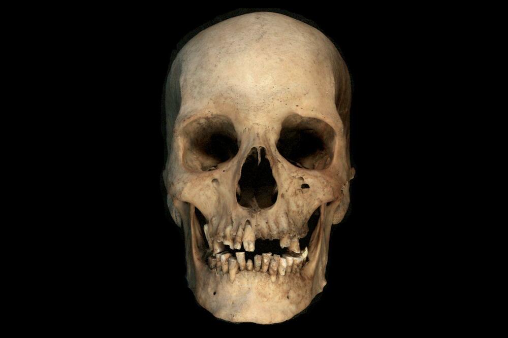 Ilustracija, Foto: Liverpool John Moores University. Nature