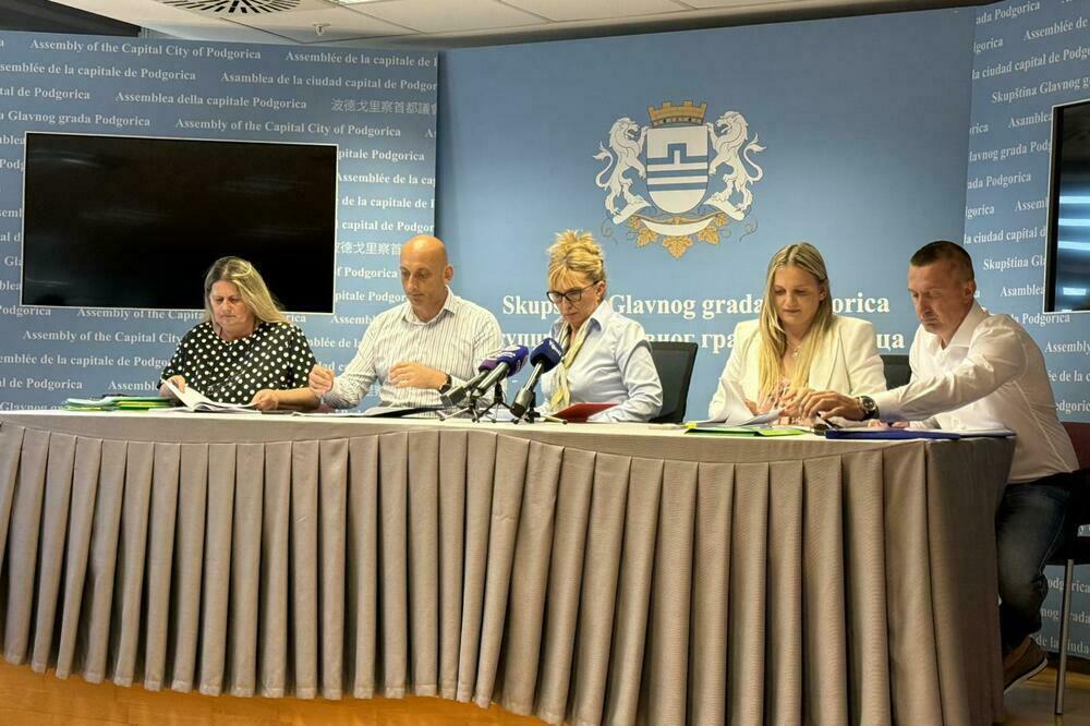 Sa jučerašnje centralne javne rasprave, Foto: Nikola Saveljić