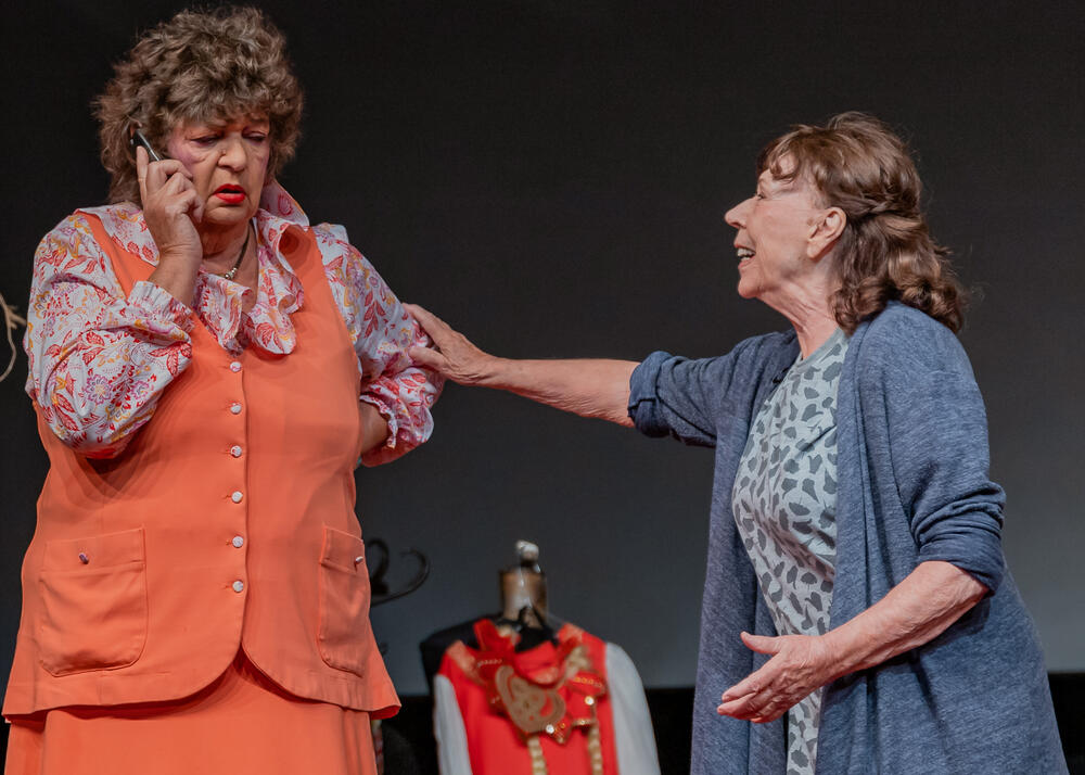 <p>Uprkos izazovima vjetra, Seka Sablić i Gorica Popović briljirale su u duodrami o samoći, zabludama i prijateljstvu, oživljavajući teatar apsurda u duhu Koljade i duha vremena</p>