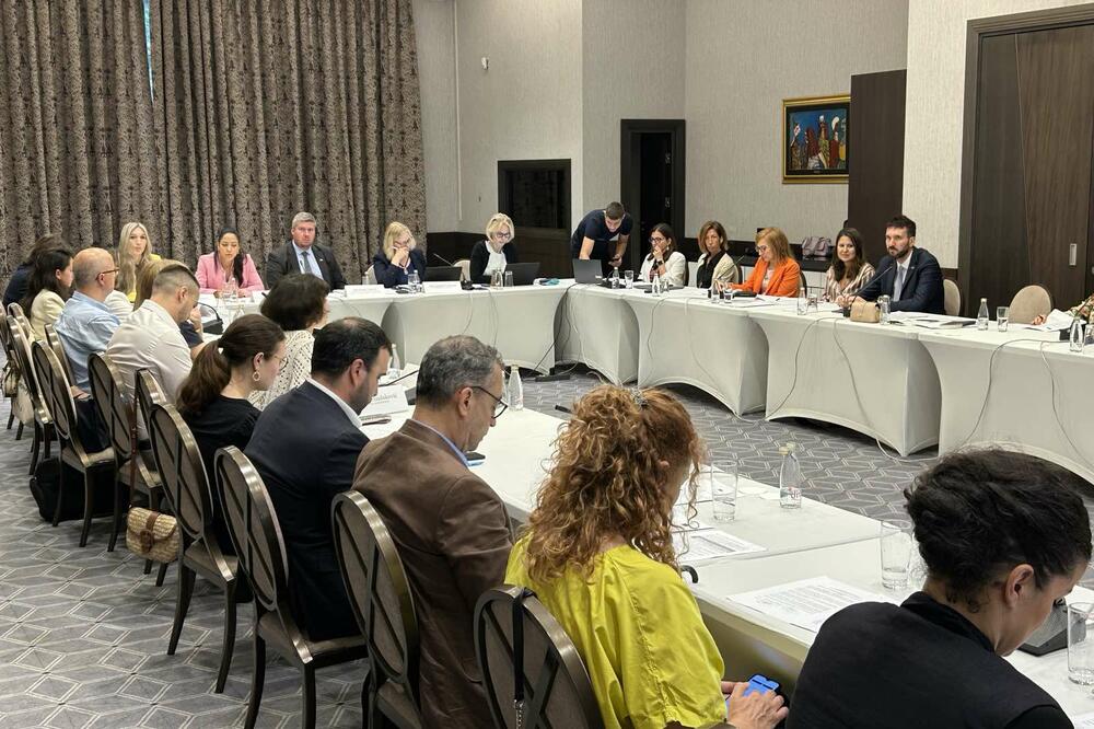 Detalj sa sastanka, Foto: Ministarstva evropskih poslova