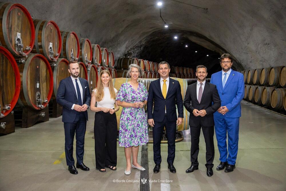 Tamara Cišang, Aleksa Bečić