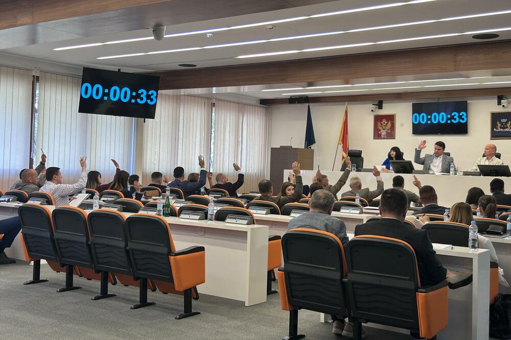 Sa sjednice, Foto: Vuk Lajović