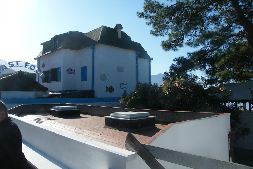 Vila Manojlović, Foto: Vuk Lajović