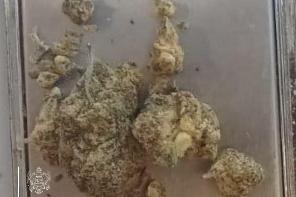 Foto: Uprava policije