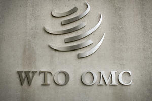 Da li EU radi na alternativi za Svjetsku trgovinsku organizaciju?