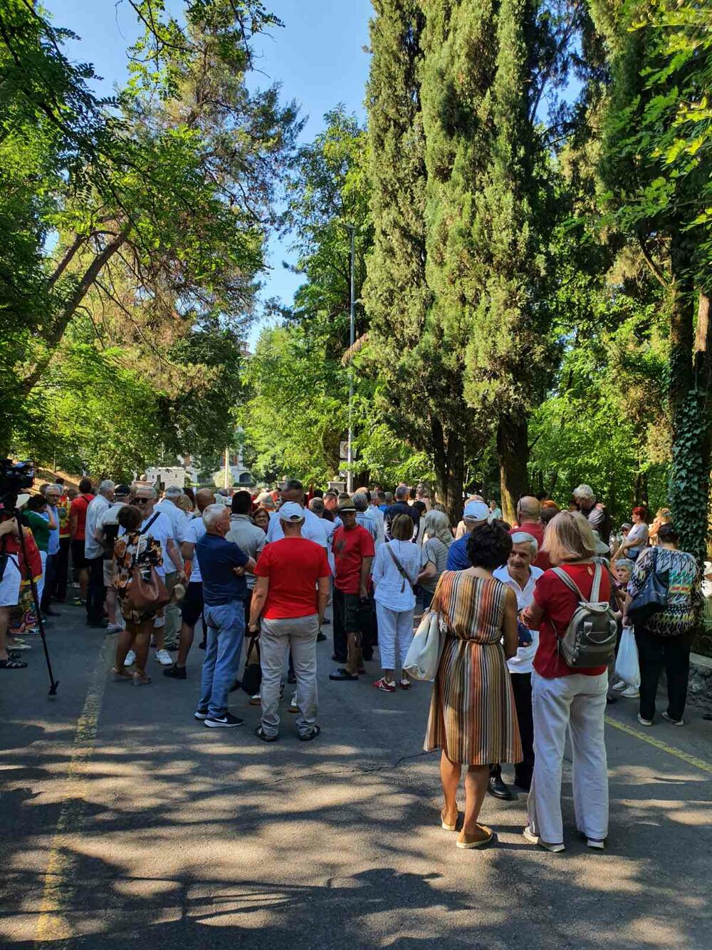 <p>Na ulazu u park-šumu biće postavljena i izložba "Sunovrat Crne Gore"</p>
