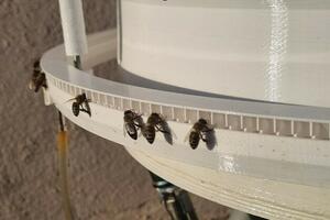 Spas za pčele i čamce: Crnogorski pronalazači pokazali da i iz...