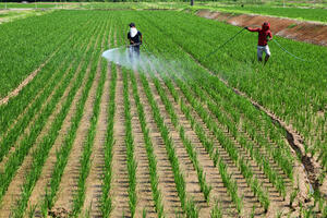 Vlada: Japan u trgovinskom deficitu od skoro 13 milijardi eura...