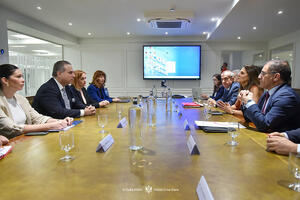 Ivanović: Crna Gora i Španija imaju odlične političke odnose i...