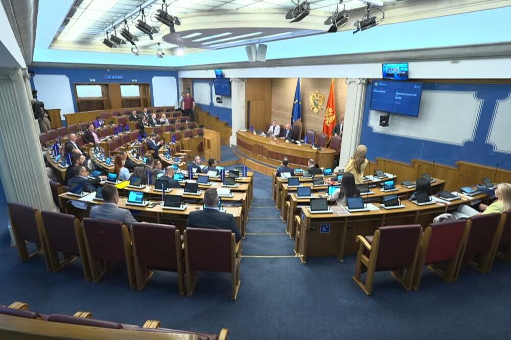 Detalj sa sjednice parlamenta, Foto: Printscreen/Youtube