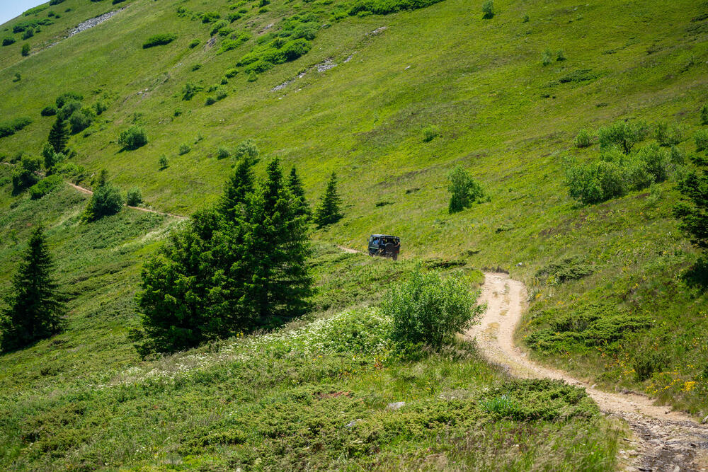 <p><strong><em>Vrelo ljeto je tek uzelo zamah i bijeg iz grada postao je glavna tema u društvu.</em></strong></p>  <p><strong><em>Gdje se skloniti, gdje provesti kvalitetno vrijeme sa djecom i prijateljima, zaspati laganim snom i disati punim plućima? Kopaonik – krov Srbije, prava planinska ljepotica vas očekuje u punoj raskoši zelenila, idealnih temperatura i primamljive ponude. Osjetite i vi okrijepljujući efekat ove planine kroz vazduh, mirise i ukuse ljeta i neponovljivu lagodnost „života na vrhu“.</em></strong></p>