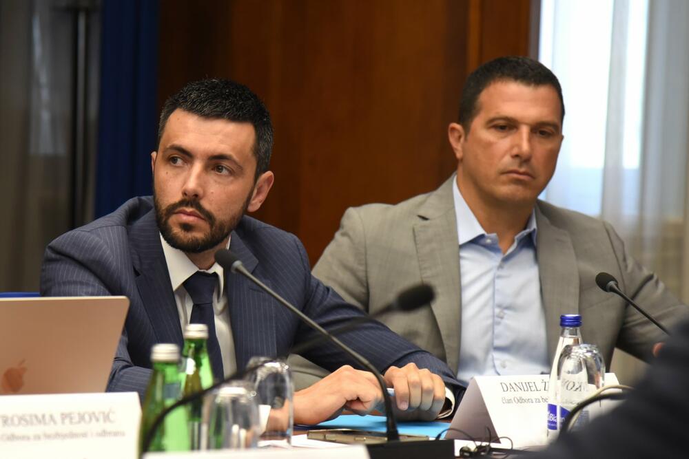 Odbor za bezbjednost i odbranu