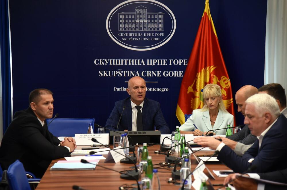 Odbor za bezbjednost i odbranu