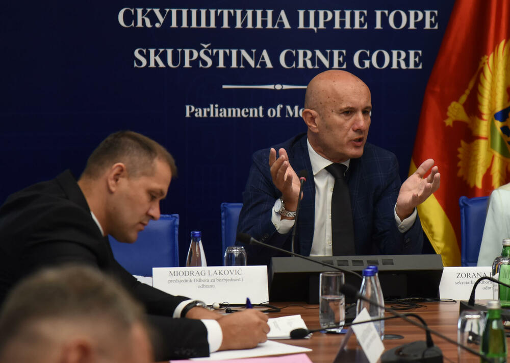 Odbor za bezbjednost i odbranu